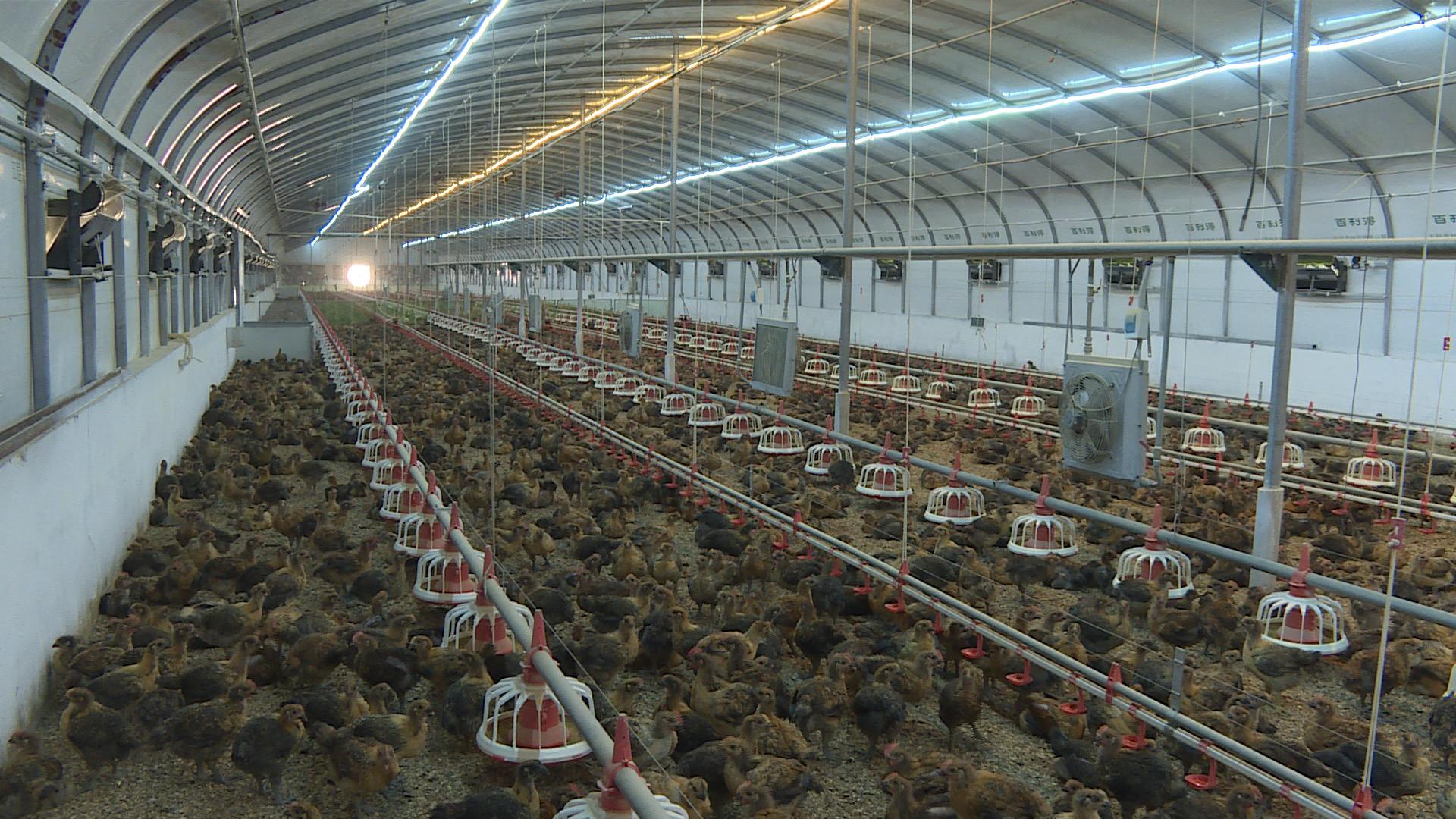 【中证快报】11月23日中证投资资讯