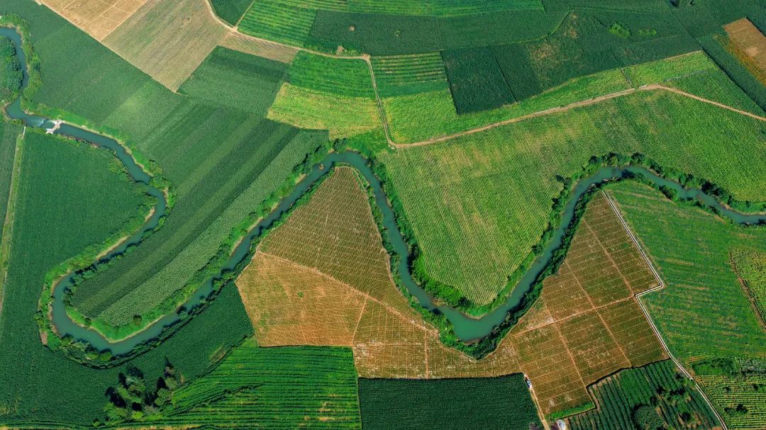 DJI_20250801162947_0032_D.JPG