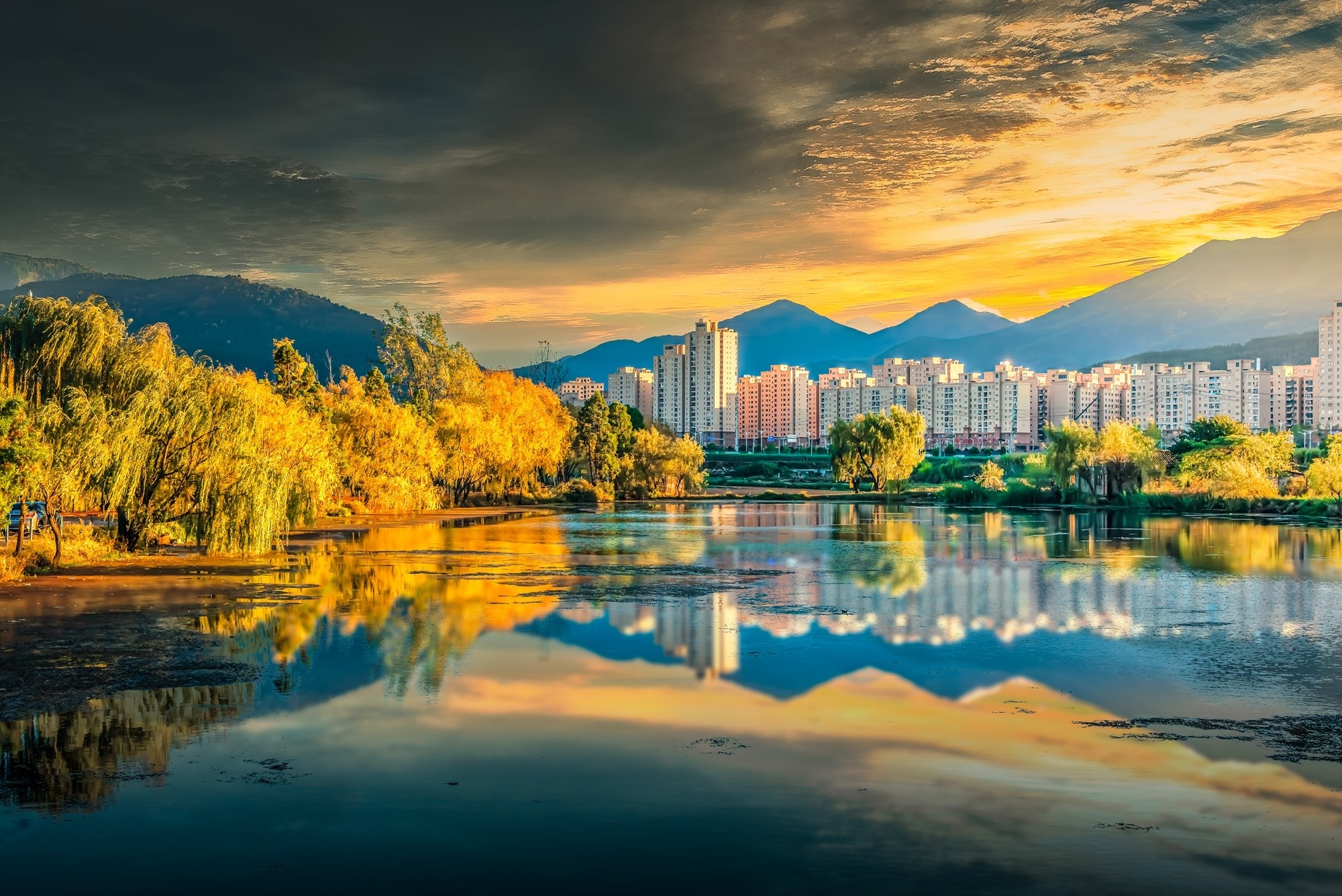 新城秋色。张启戊 摄