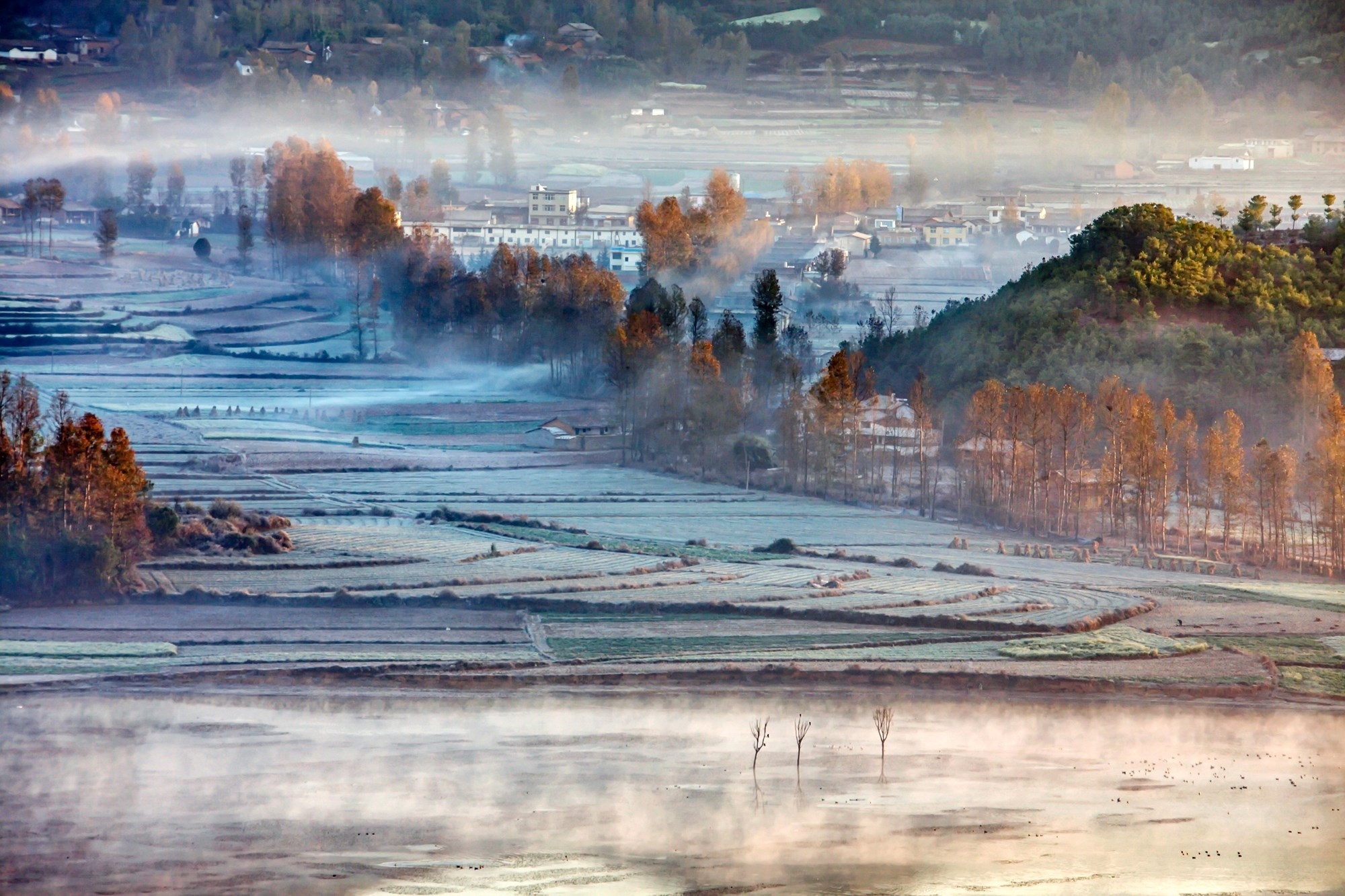 霜重色浓。吴正权 摄