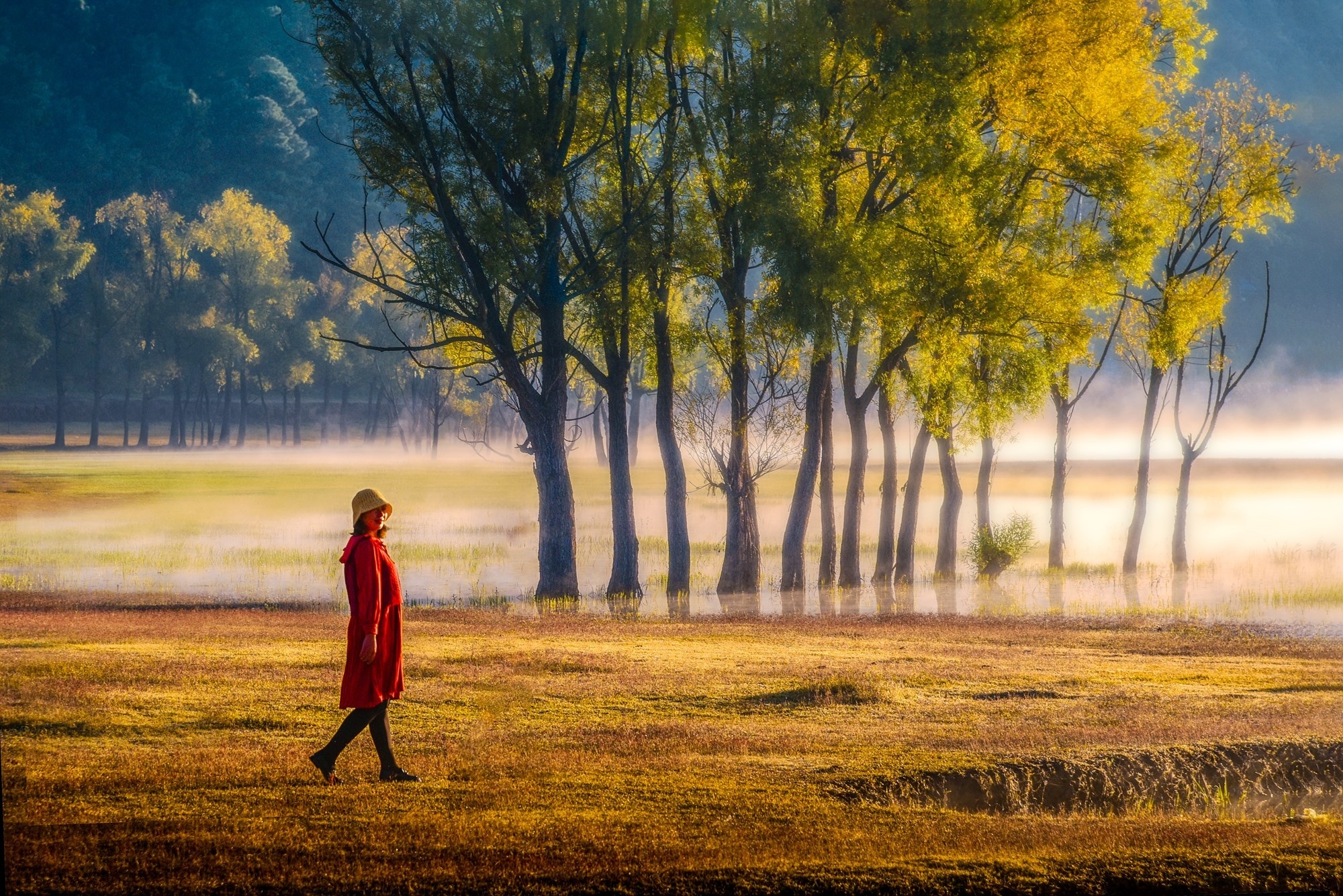 秋日漫步。王发祥 摄