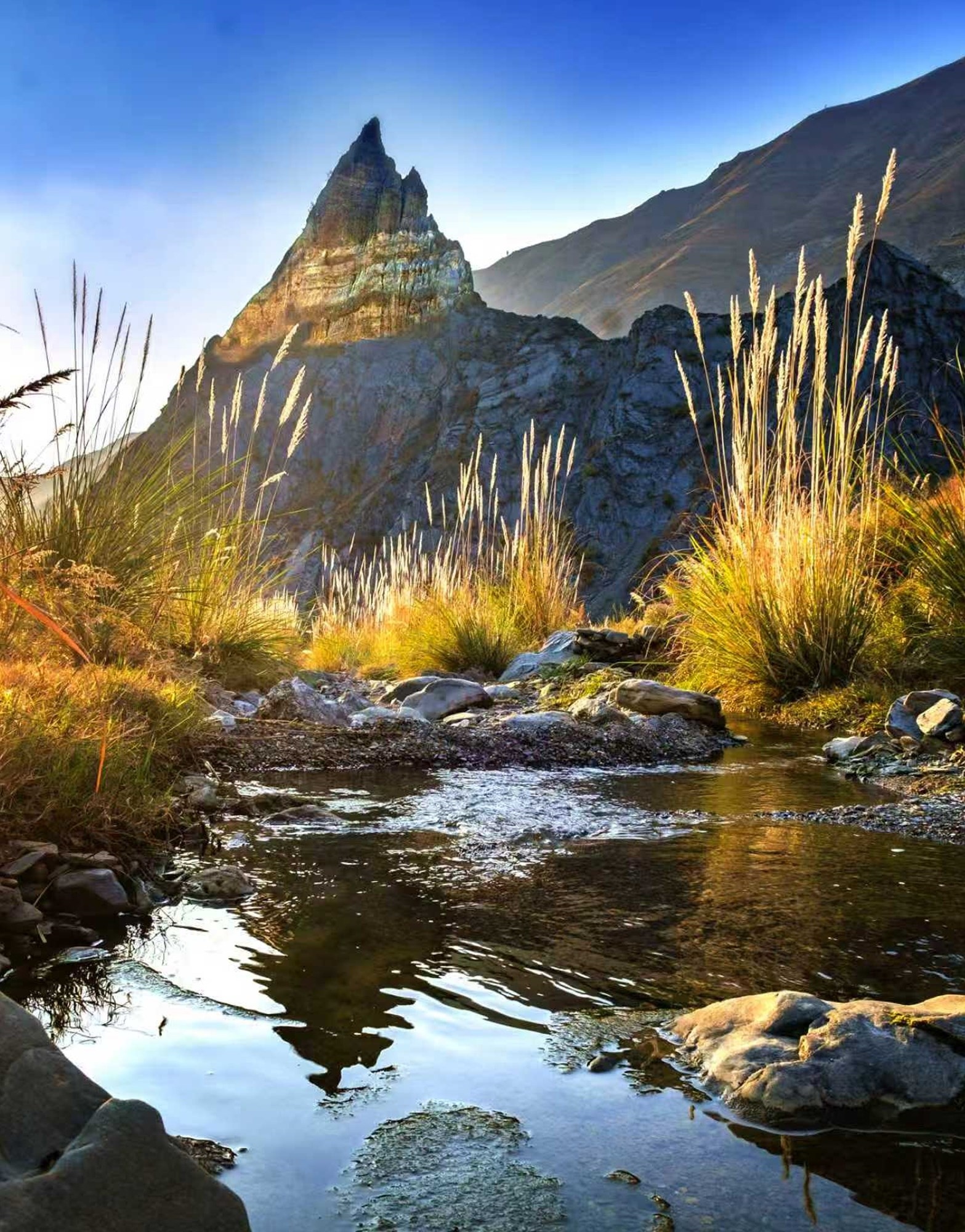 峡谷秋色。李永星 摄