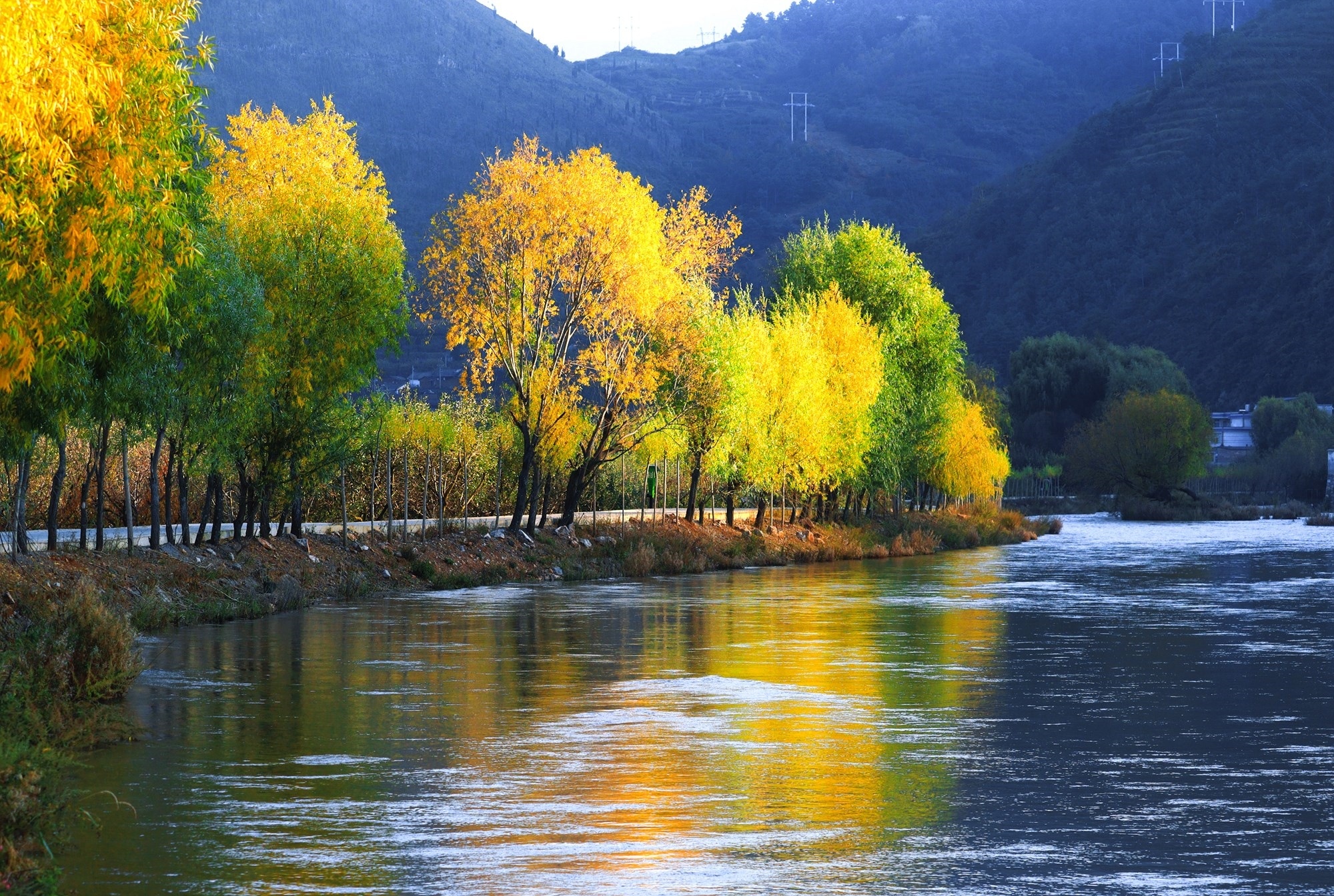 秋意斑斓。房金萍 摄