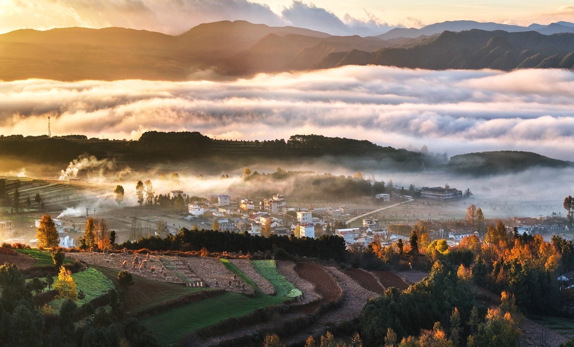 雾锁秋林。张云林 摄