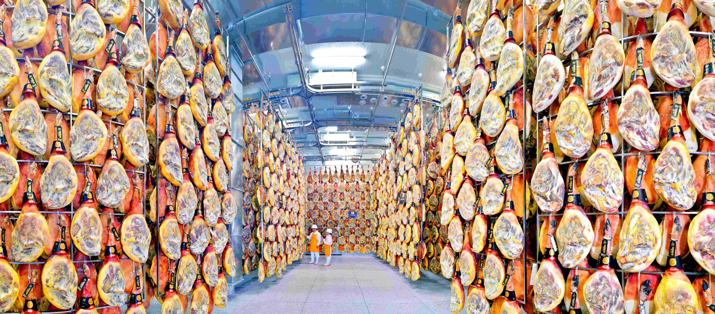 恒温恒湿发酵生产线。赵璠 摄