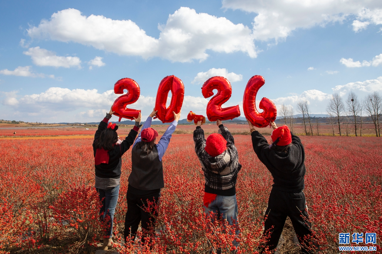 在北美冬青的“红色海洋”中，游客正在拍照打卡（1月4日摄）。新华网发（杨俊鹏 摄）