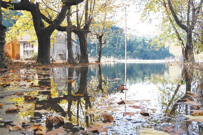 云水机械厂遗址一隅。