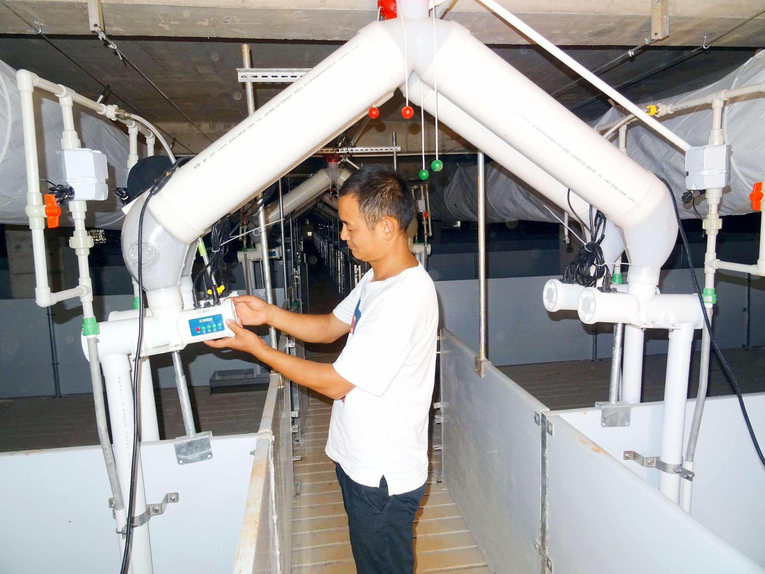 在麒麟区茨营镇生猪养殖基地，工作人员正在调试智能养殖设备。刘成龙 摄