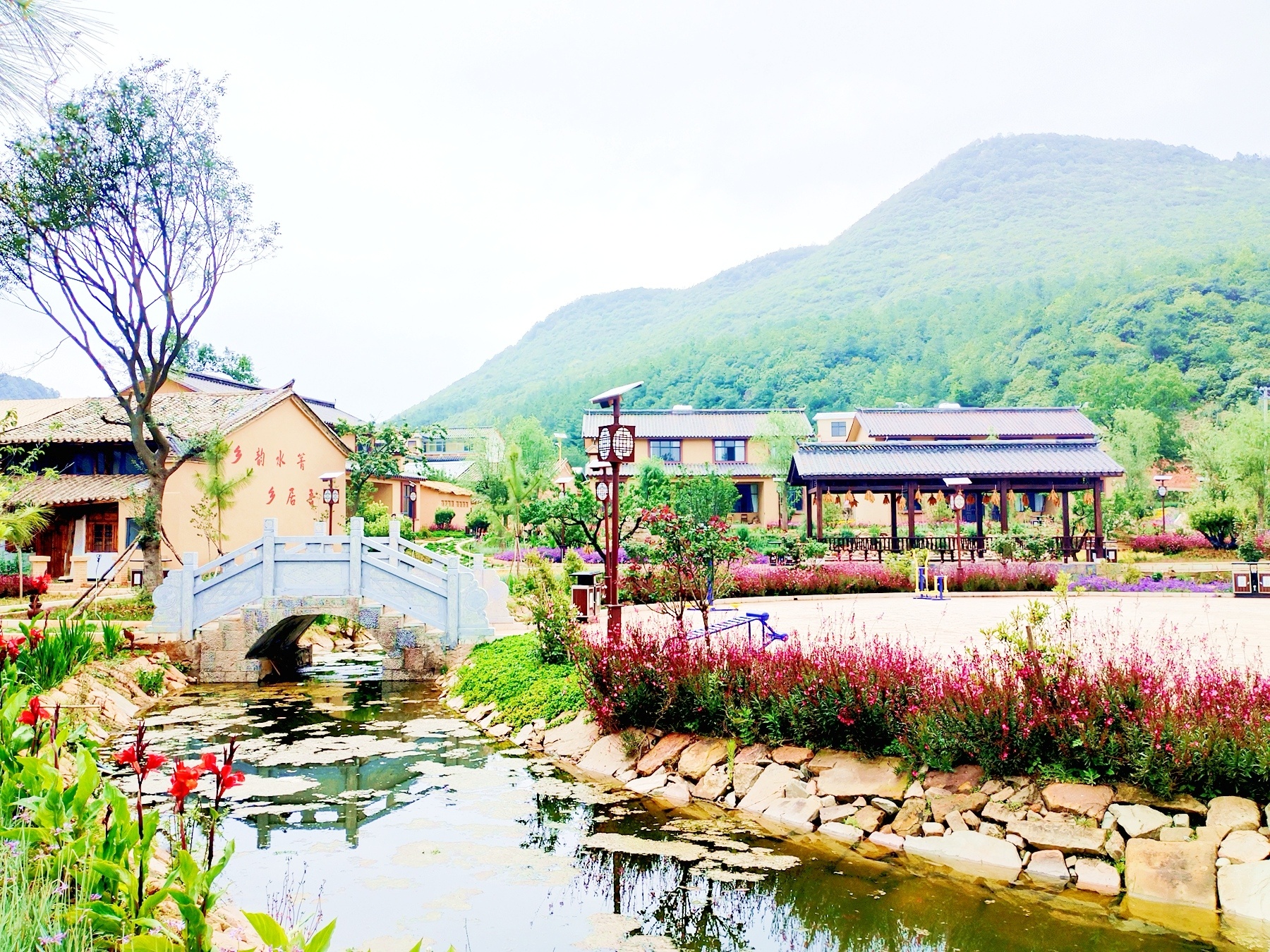 水箐旅居村一隅。