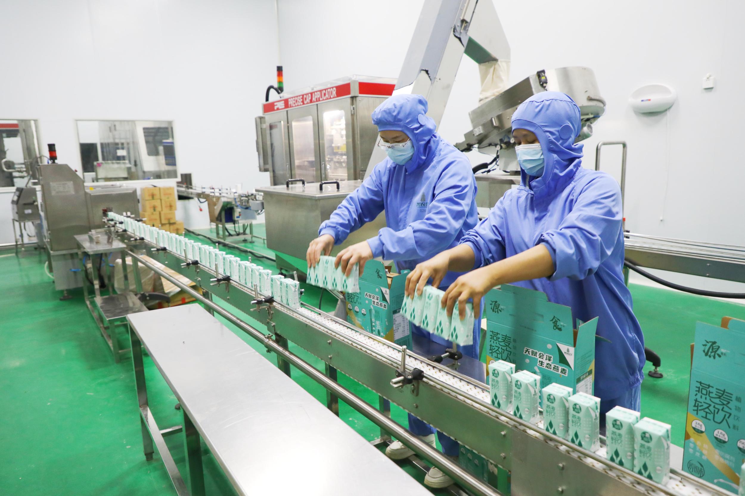 工人在生产线上包装燕麦乳饮品。陈耀邦 摄