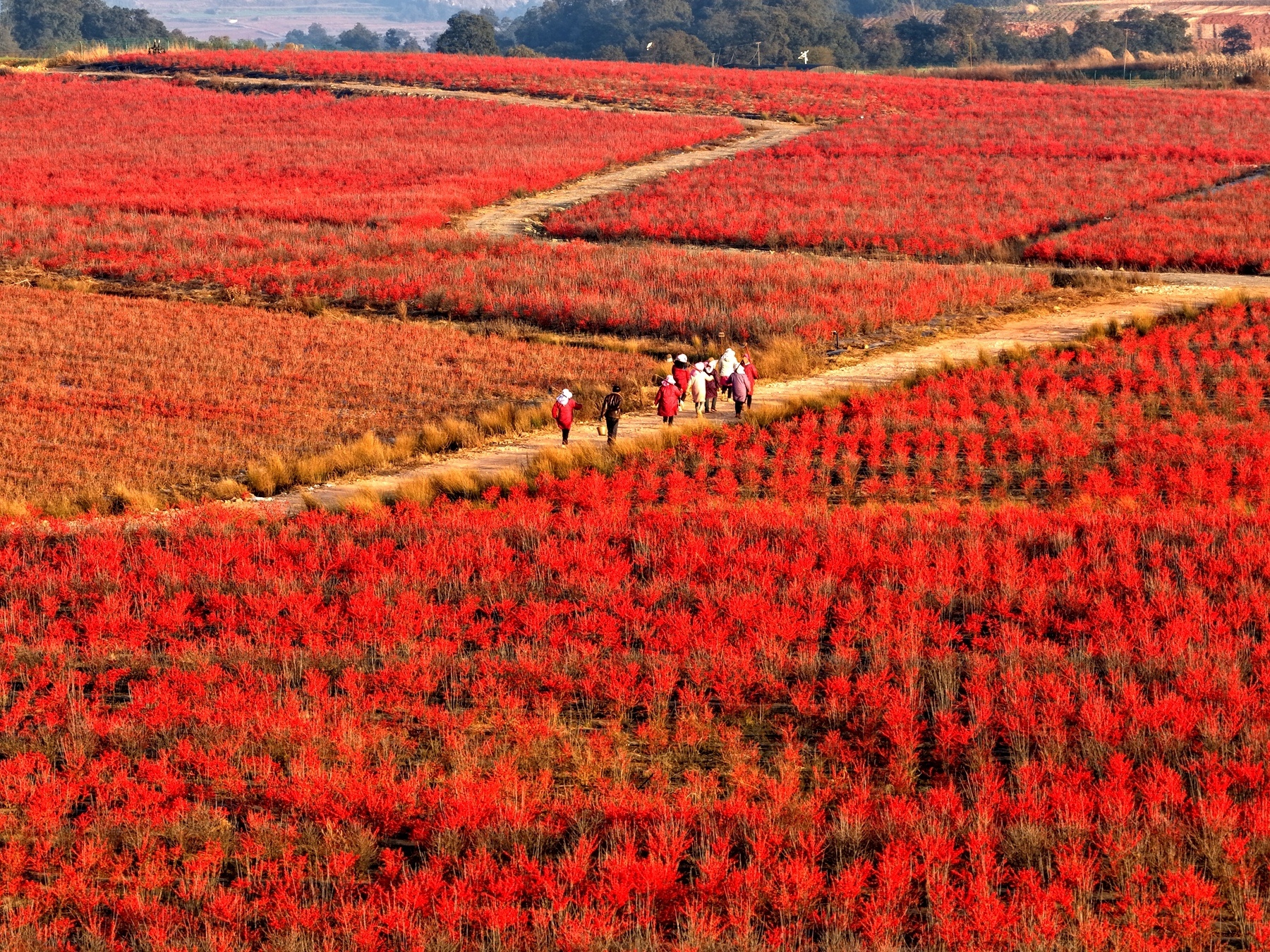 当地群众就近就地务工。