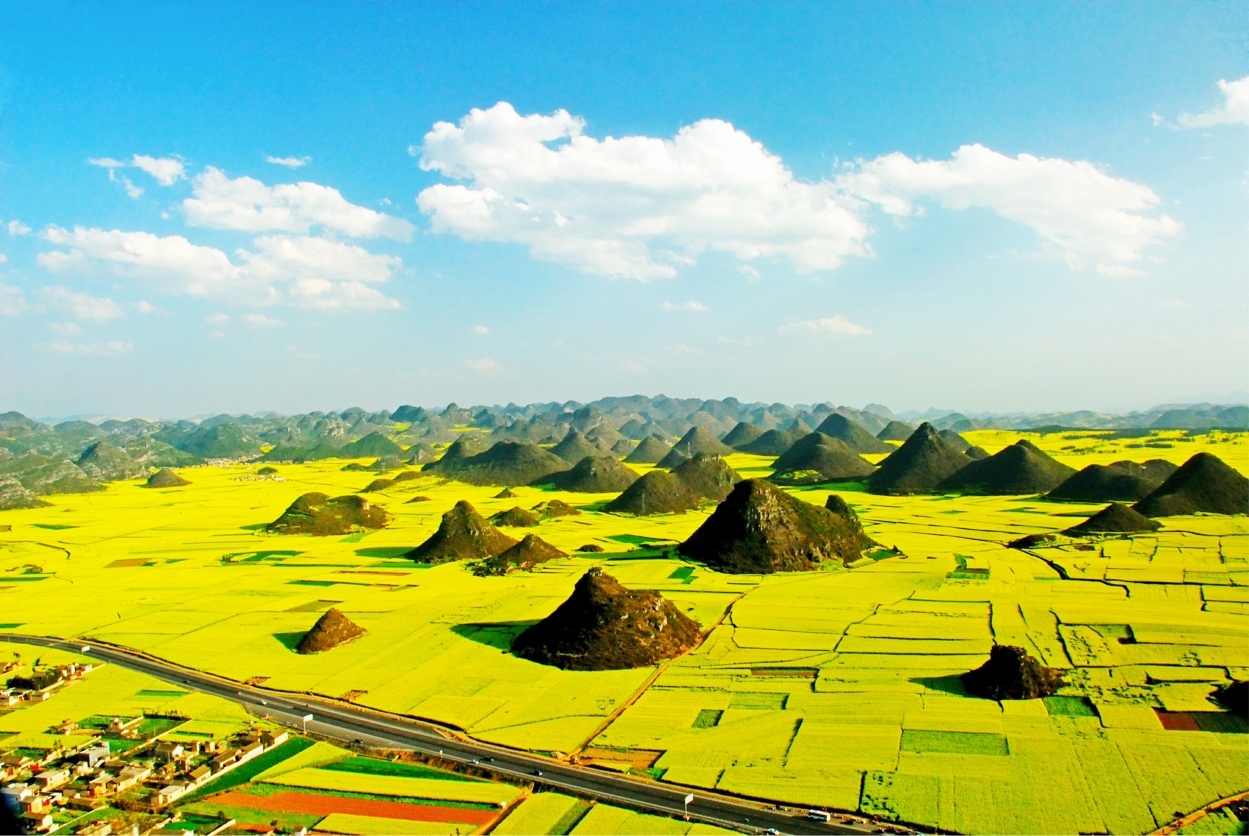 油菜花海。(资料图)