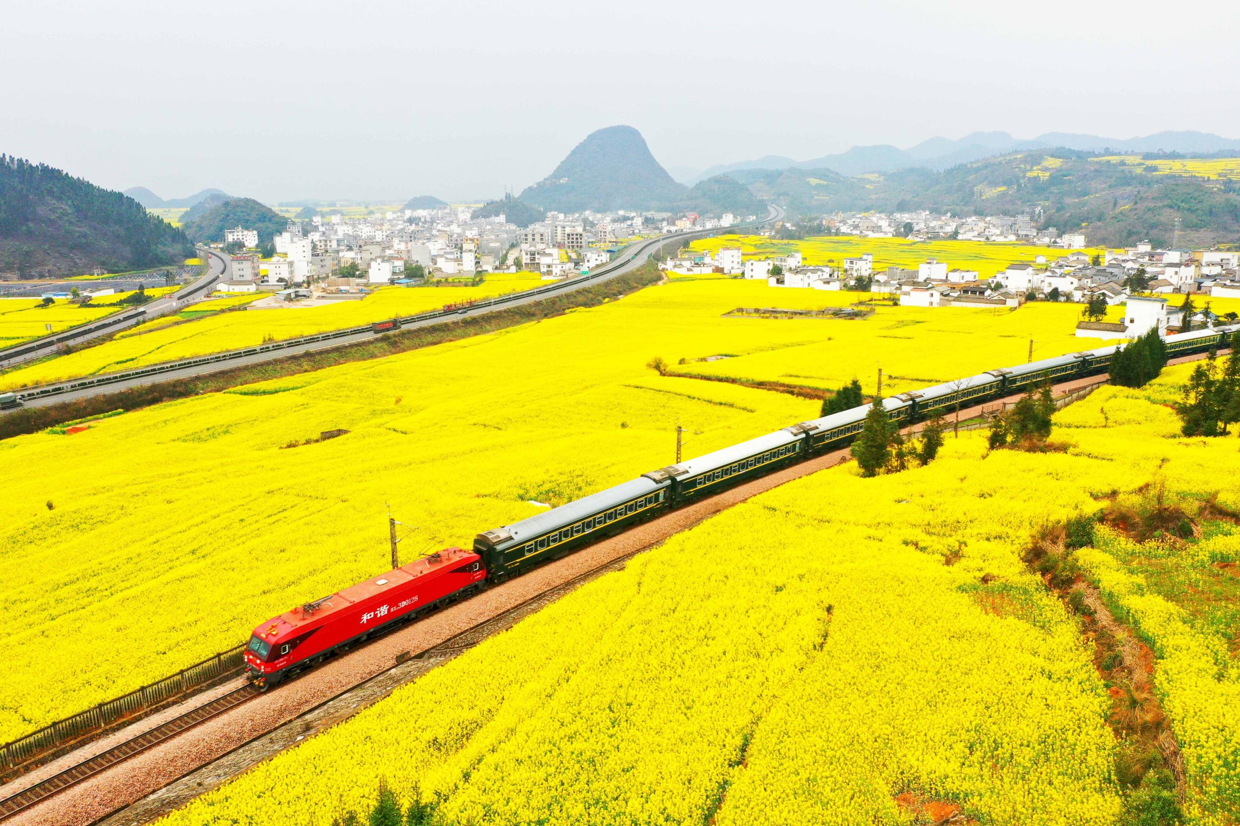 旅游专列行进在油菜花海中。毛虹 摄