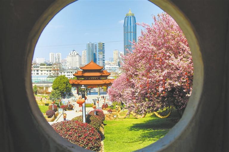 寥廓春色。马本跃 摄