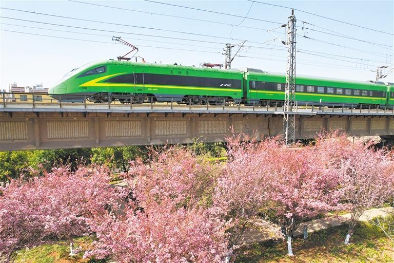 开往春天的列车。杨俊鹏 摄