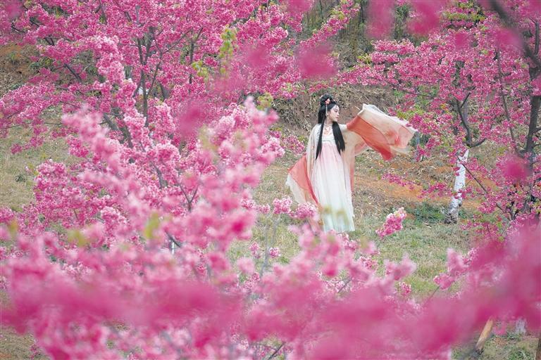 翩翩起舞。杨俊鹏 摄