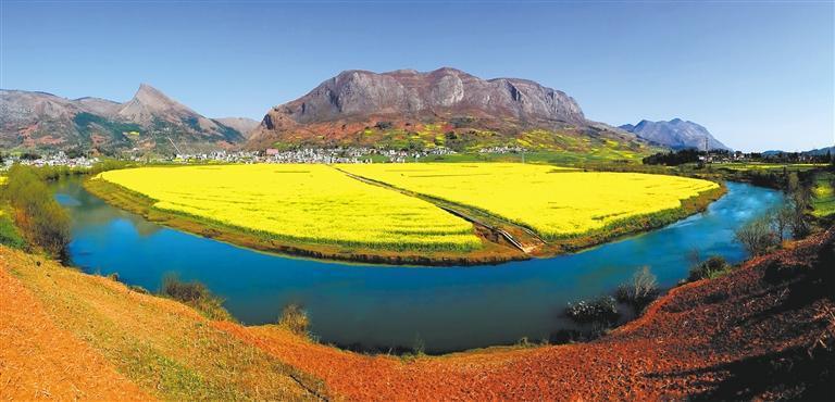 金色田园。杨跃 摄