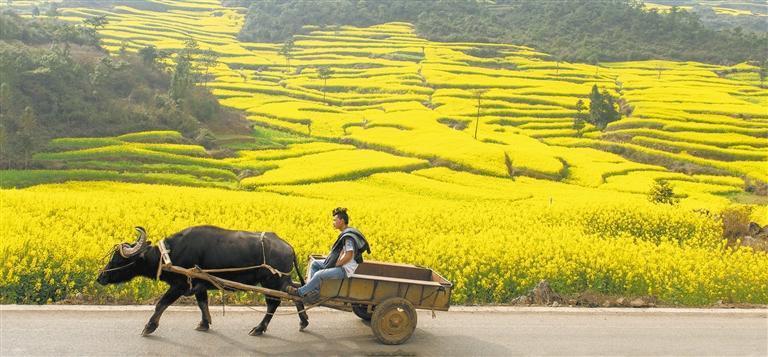 人勤春来早。汤建萍 摄
