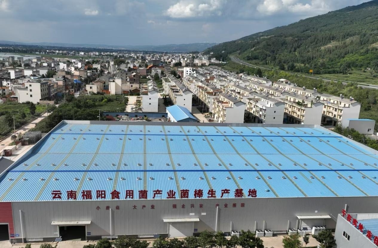 闲置厂房重获新生。