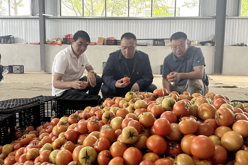 复制图片 图片