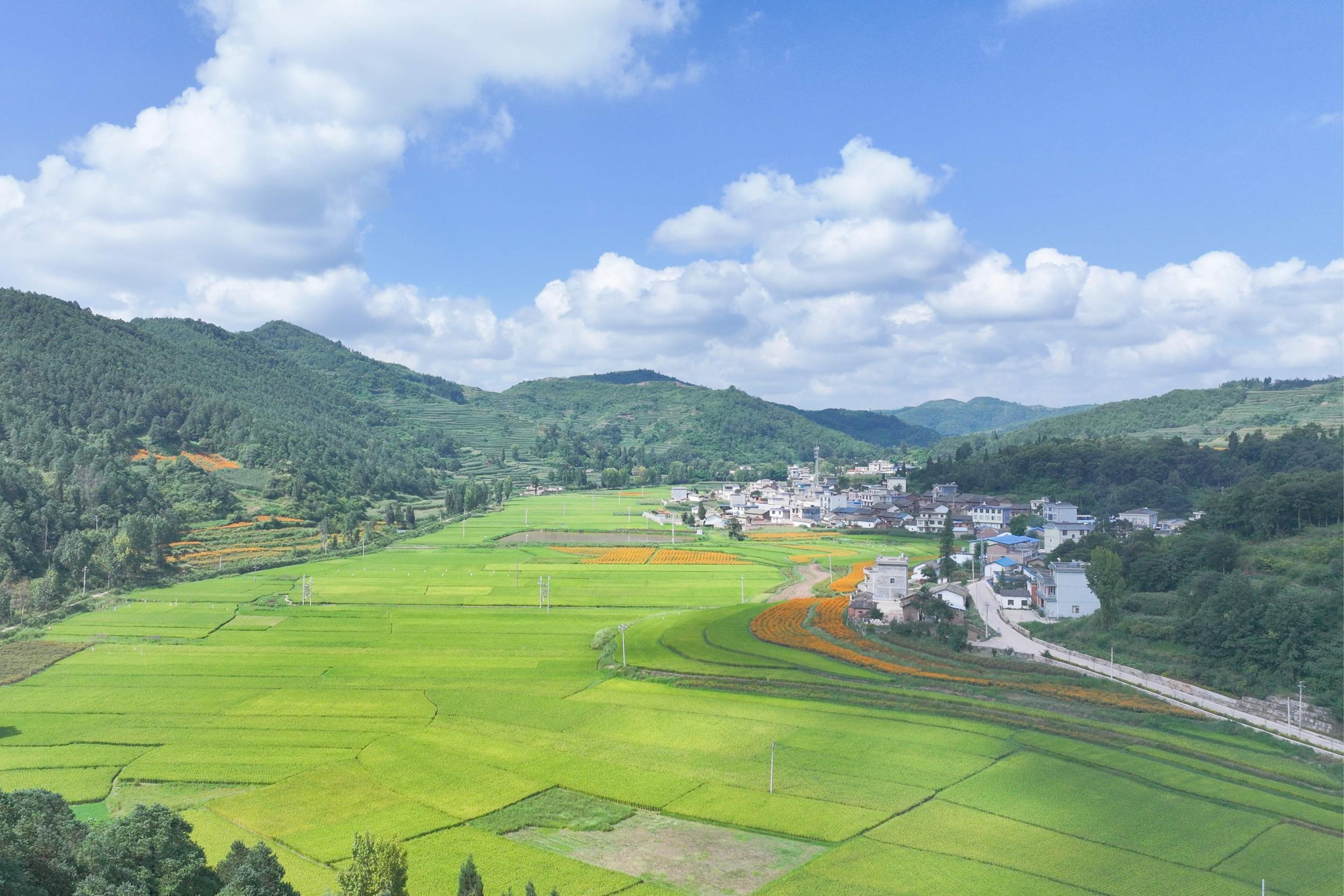 鸟瞰李家村。李春 摄