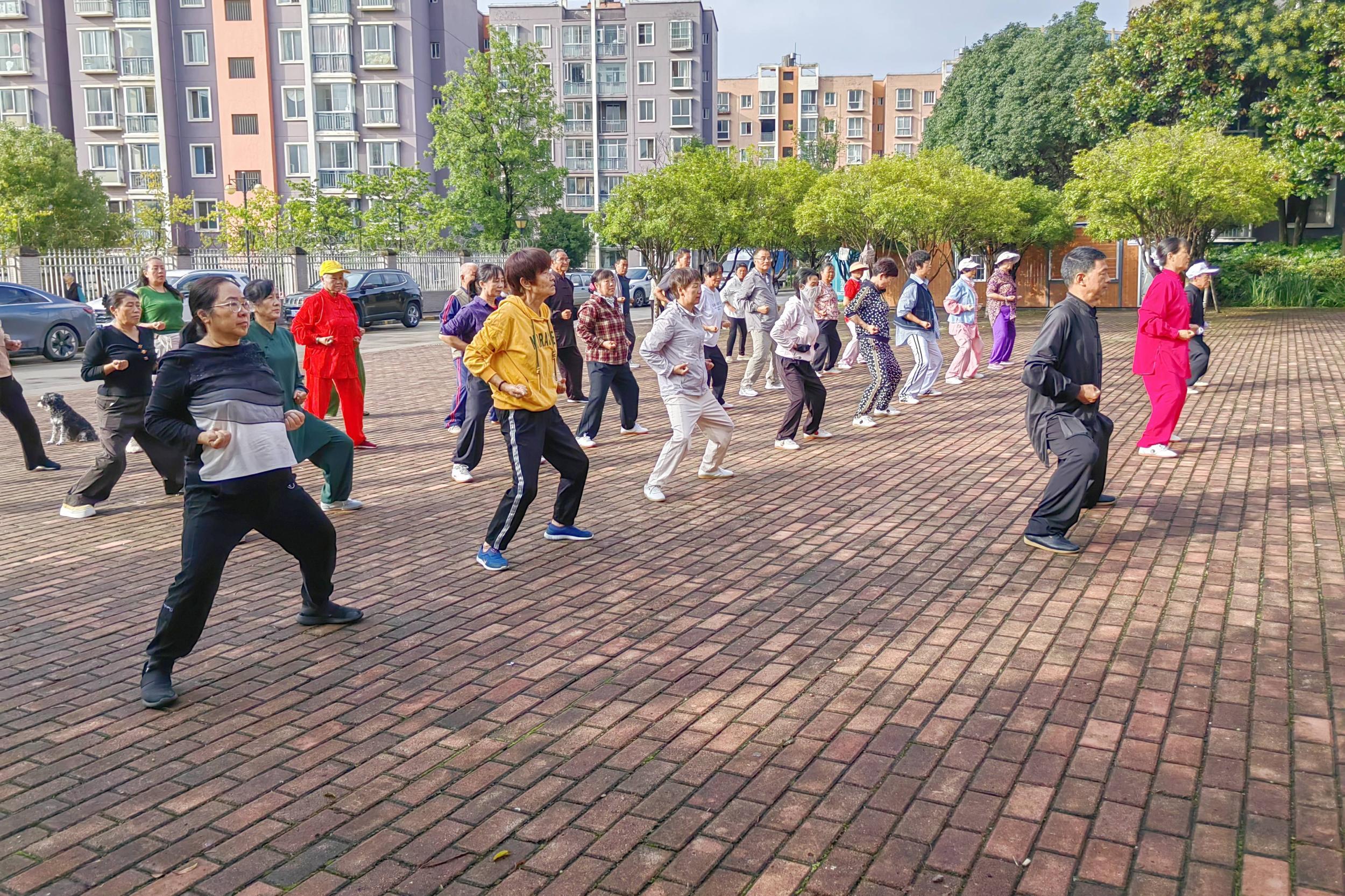 丰富银发群体精神文化生活。