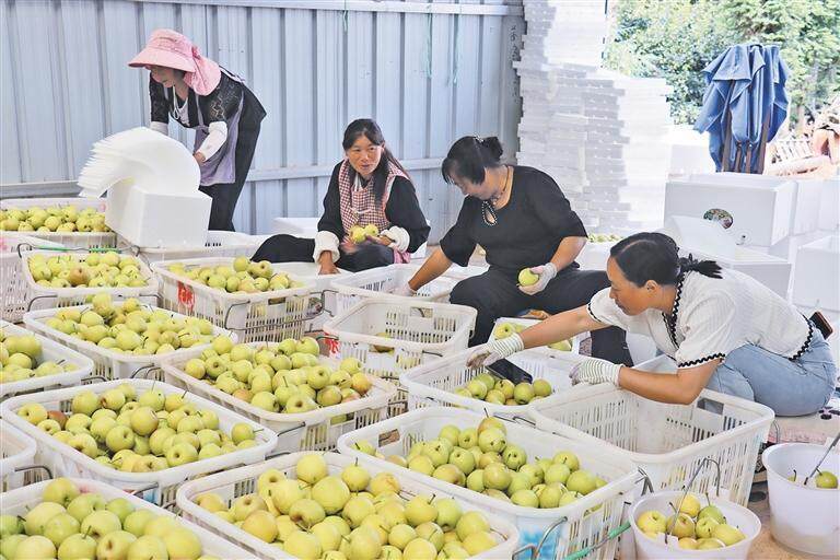 会泽五星乡图片