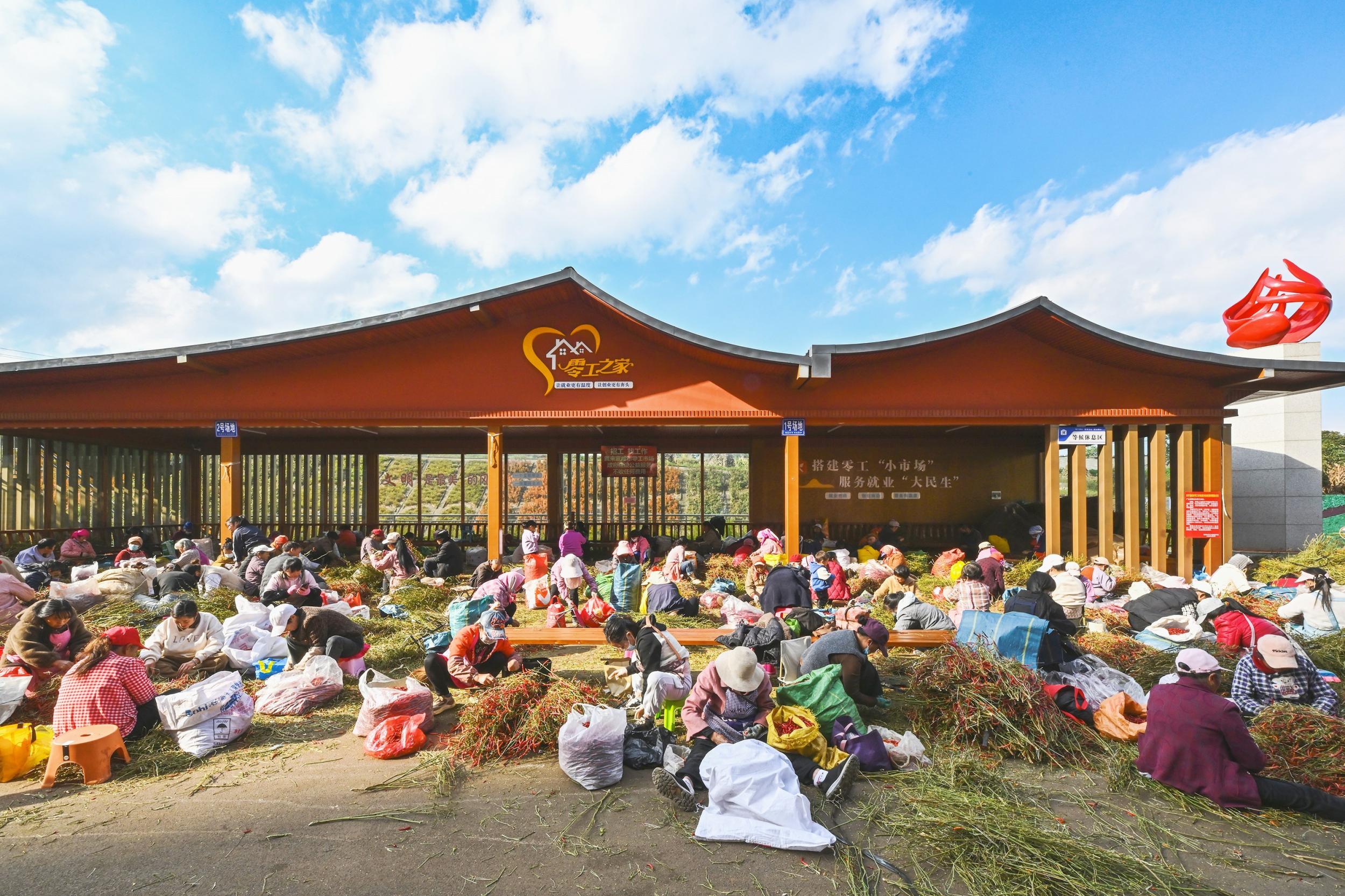 务工群众在分拣辣椒。董娅娟 摄