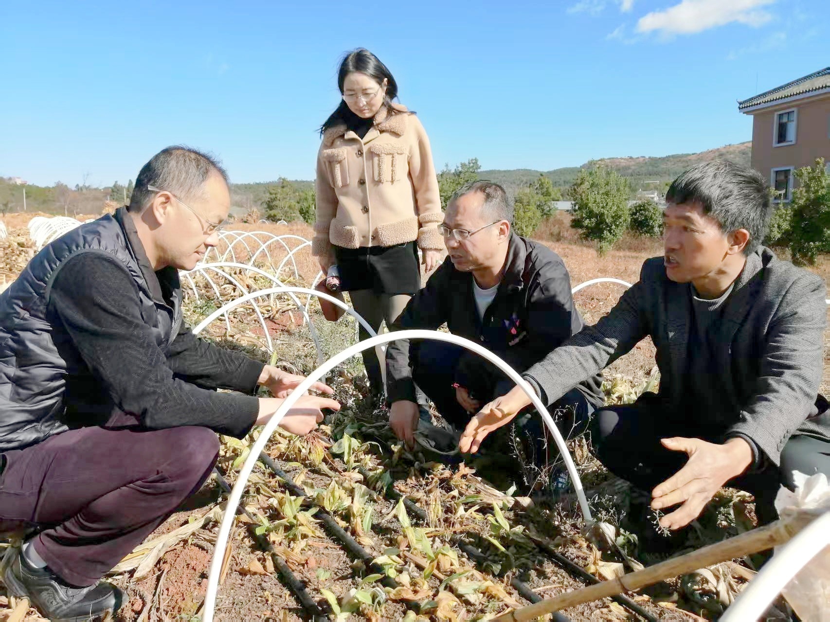 专家为农作物“把脉问诊”。徐云花 摄